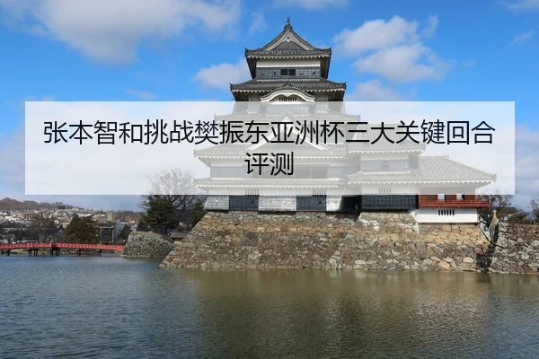 张本智和挑战樊振东亚洲杯三大关键回合评测